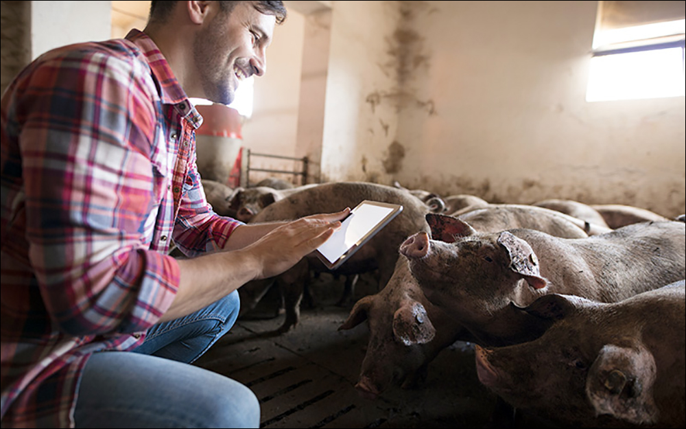 The system comes with the Sentry mobile app so onsite workers can view information about particular locations or specific animals.
