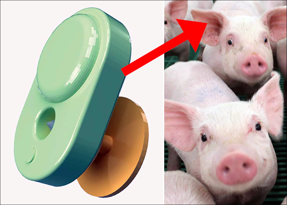 A tracker is attached to each animal's ear to capture information, and gateways that receive the sensor data wirelessly.