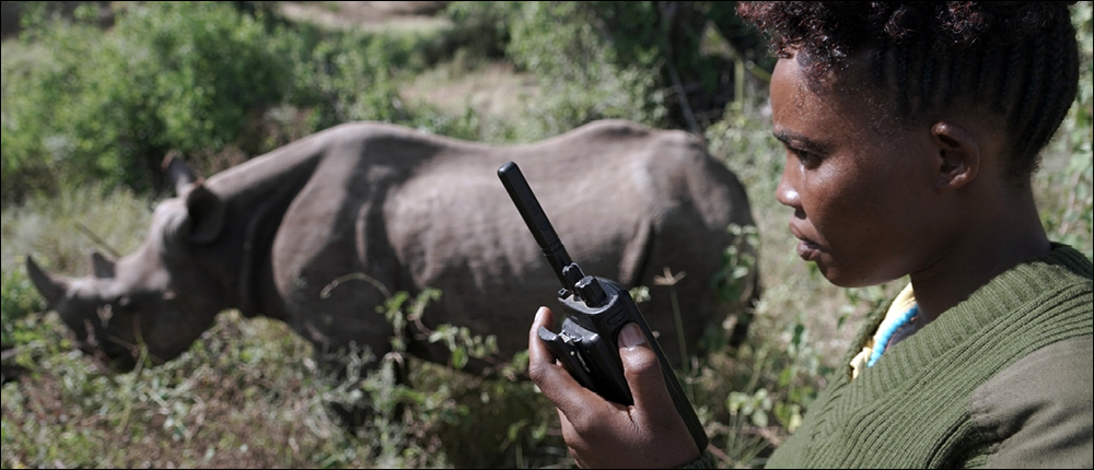 IoT Protects Endangered African Wildlife