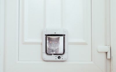 Prey Detection AI and RFID Keeps Wildlife Outside