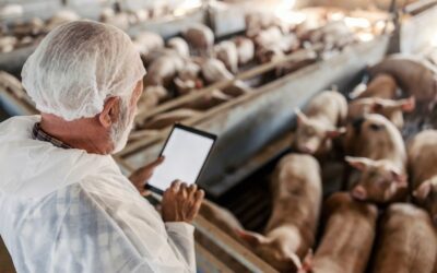 Nebraska Pork Farmers Urged to Switch to RFID